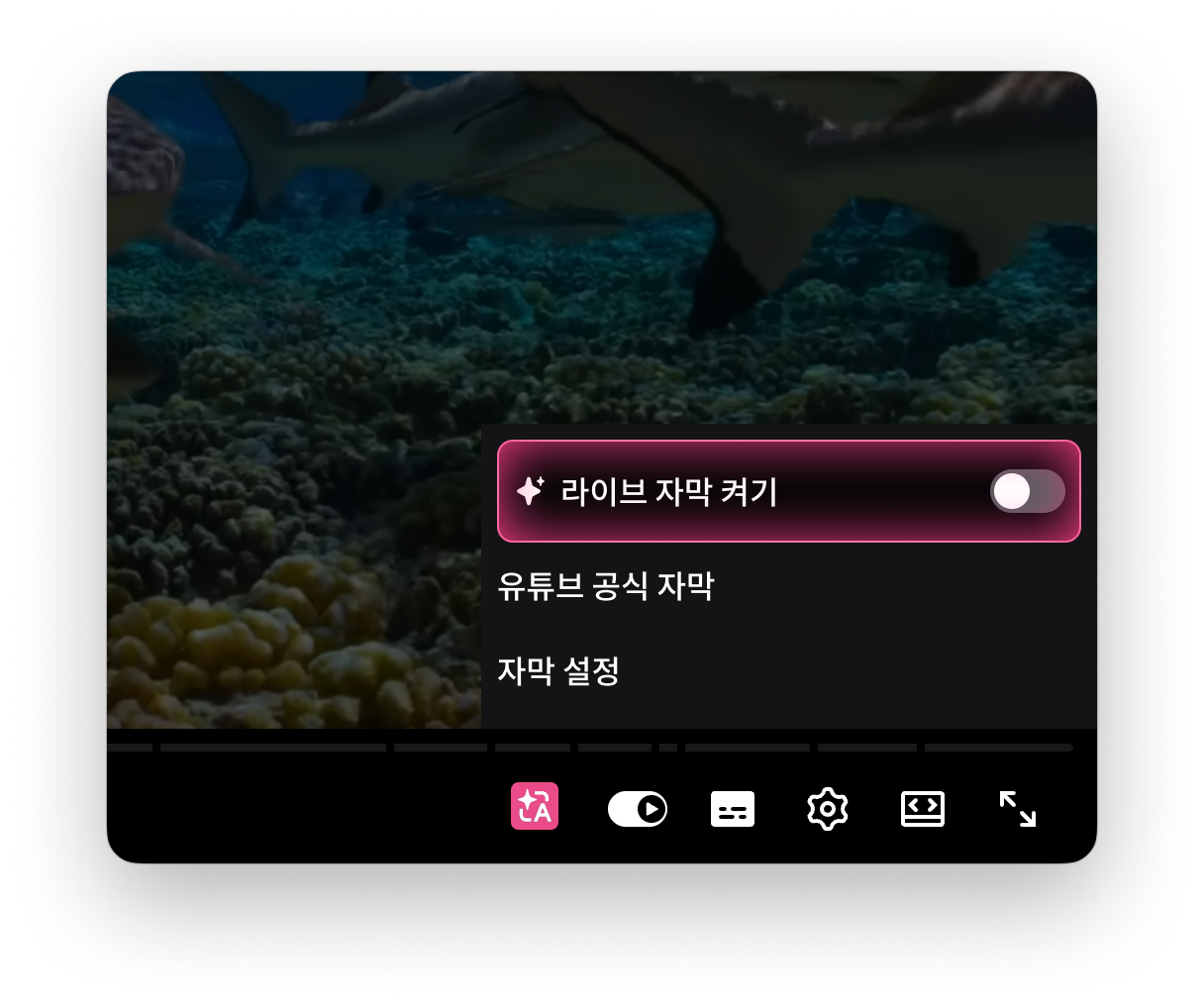플레이어에서 번역 시작