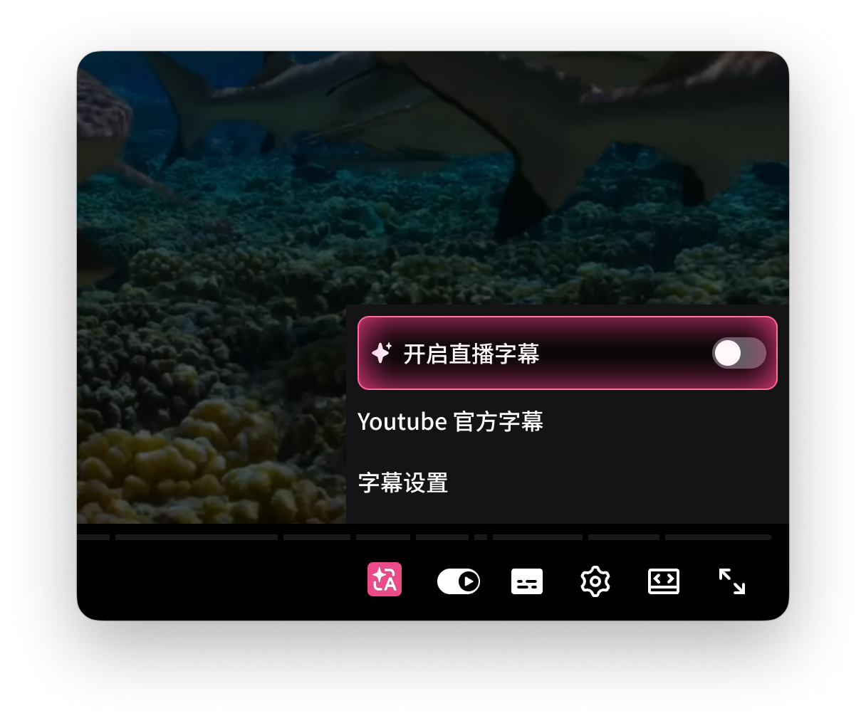 在播放器中开启翻译
