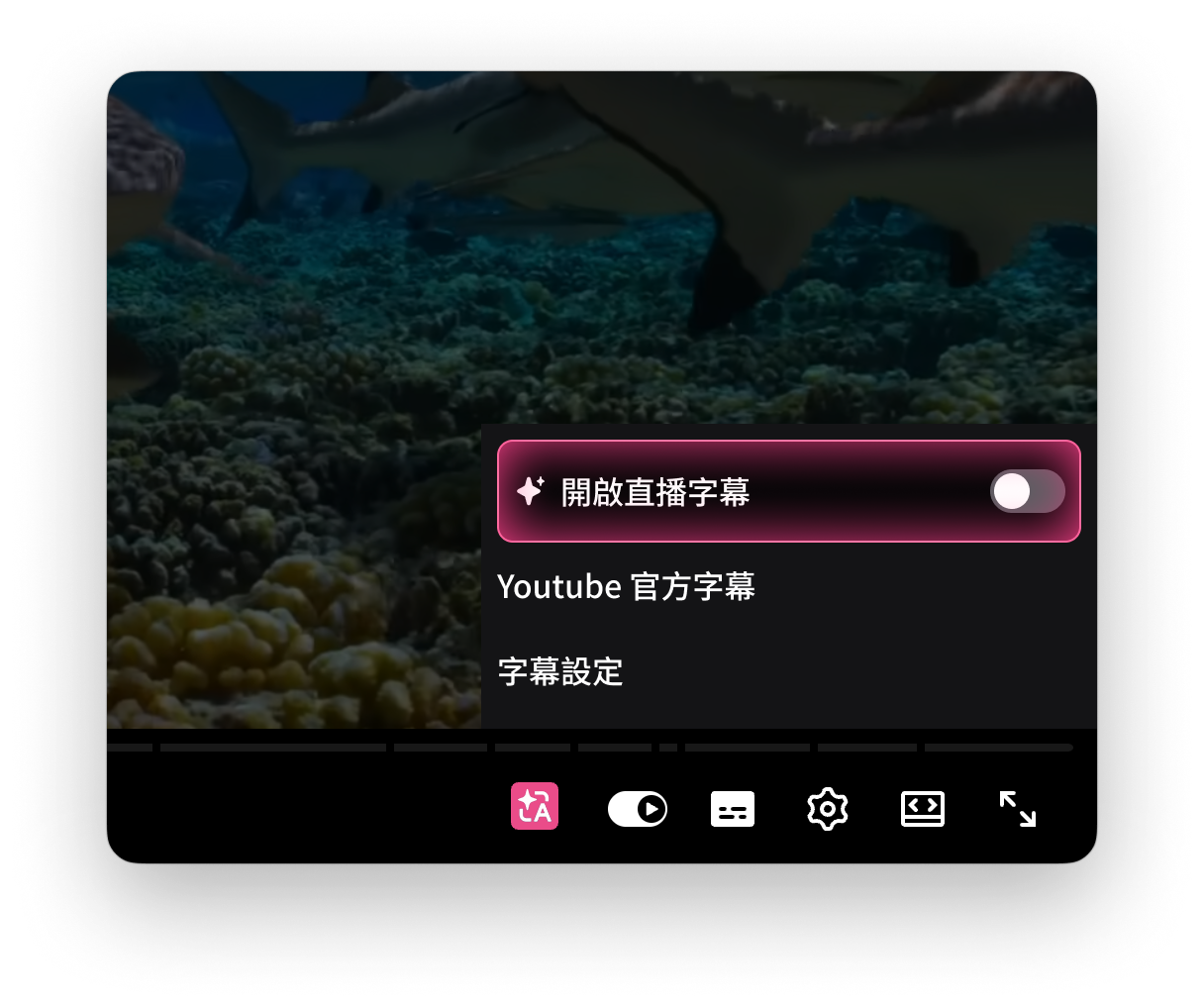 在播放器中開啟翻譯
